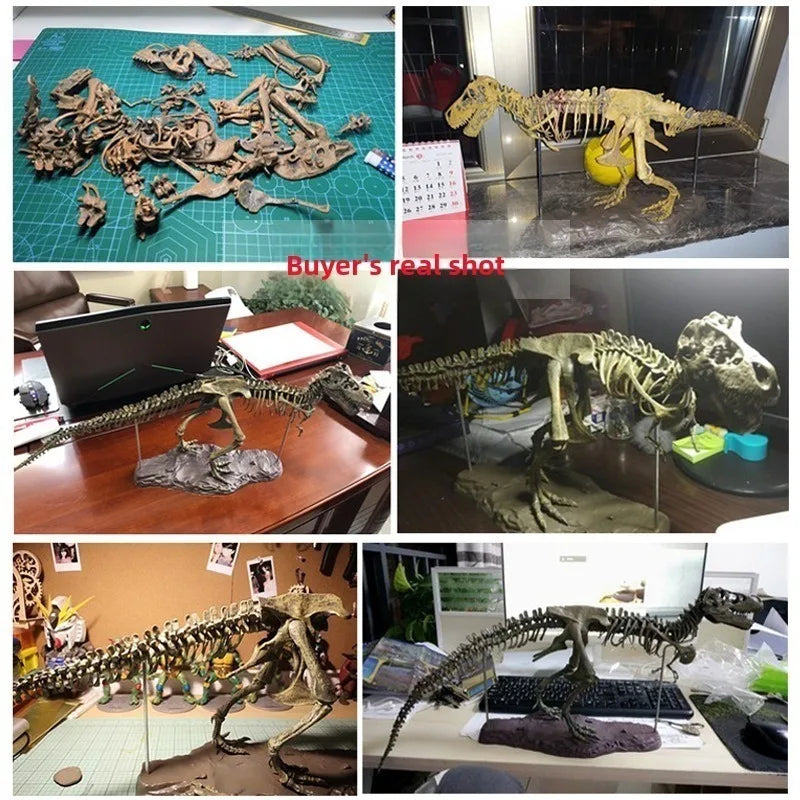 Dinosaur Fossil Toy Tyrannosaurus Rex Skeleton Model Tik Tok with The Same Simulation Children's Educational Assembly Gift.