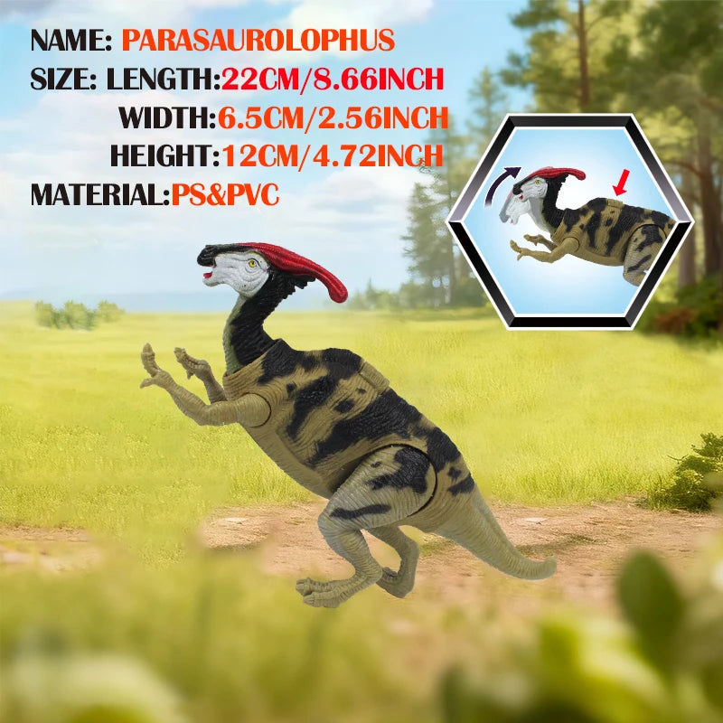 595369784-8